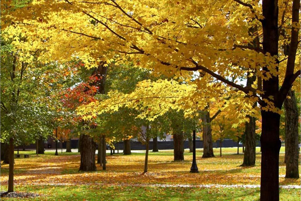 Autumn on the Quad